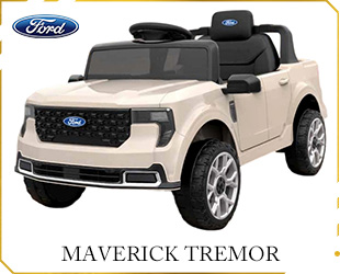 RECHARGEABLE CAR LICENSE R/C