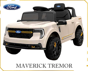 RECHARGEABLE CAR LICENSE R/C