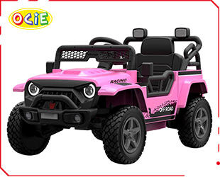 RECHARGEABLE CAR W/ RC