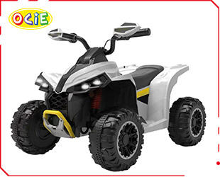 RECHARGEABLE ATV