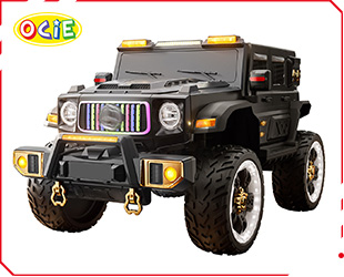 RECHARGEABLE UTV R/C