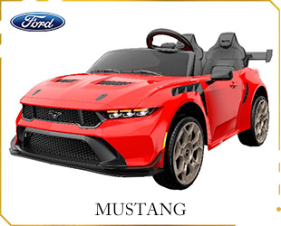 RECHARGEABLE CAR FORD LICENSE