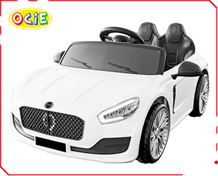 RECHARGEABLE UTV R/C