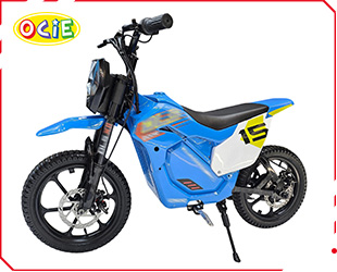 RECHARGEABLE MOTORCYCLE 