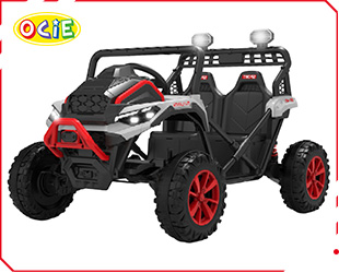 RECHARGEABLE CAR R/C