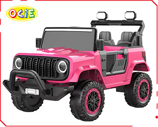 RECHARGEABLE CAR R/C