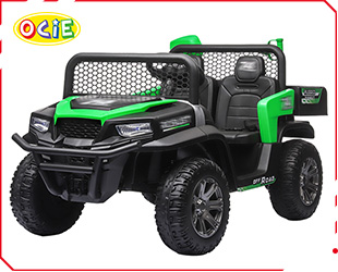 RECHARGEABLE UTV W/ RC