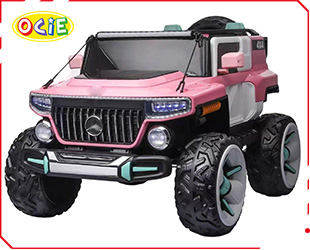 RECHARGEABLE CAR W/ RC