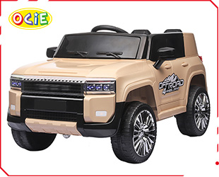 RECHARGEABLE CAR W/ RC