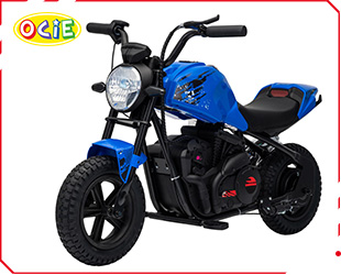 RECHARGEABLE MOTORCYCLE