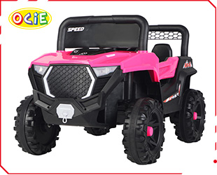 RECHARGEABLE CAR W/ RC