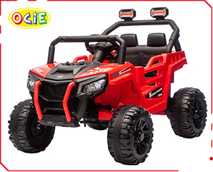 RECHARGEABLE CAR W/ RC