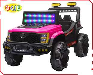 RECHARGEABLE CAR W/ RC