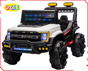 RECHARGEABLE CAR W/ RC