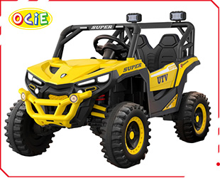 RECHARGEABLE CAR W/ RC