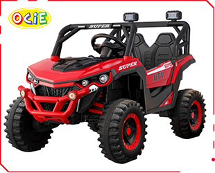 RECHARGEABLE CAR W/ RC