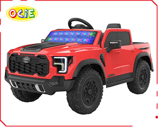 RECHARGEABLE CAR W/ RC