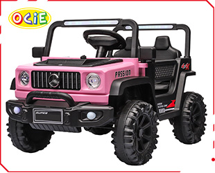 RECHARGEABLE CAR W/ RC