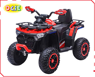 RECHARGEABLE ATV