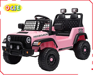 RECHARGEABLE CAR W/ RC