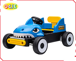 RECHARGEABLE CAR W/ RC