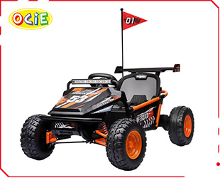RECHARGEABLE CAR W/RC
