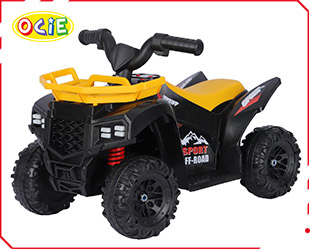 RECHARGEABLE ATV