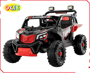 RECHARGEABLE CAR W/RC