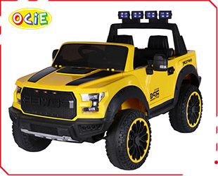 RECHARGEABLE CAR R/C