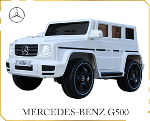  LICENSE BENZ G500