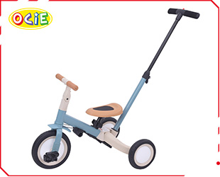 2 IN 1 TRICYCLE