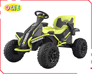 RECHARGEABLE CAR R/C