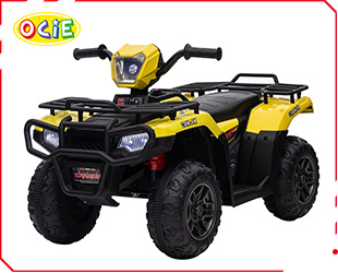 RECHARGEABLE ATV