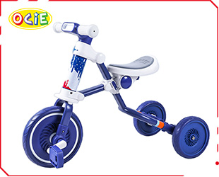 2 IN 1 BALANCE BIKE