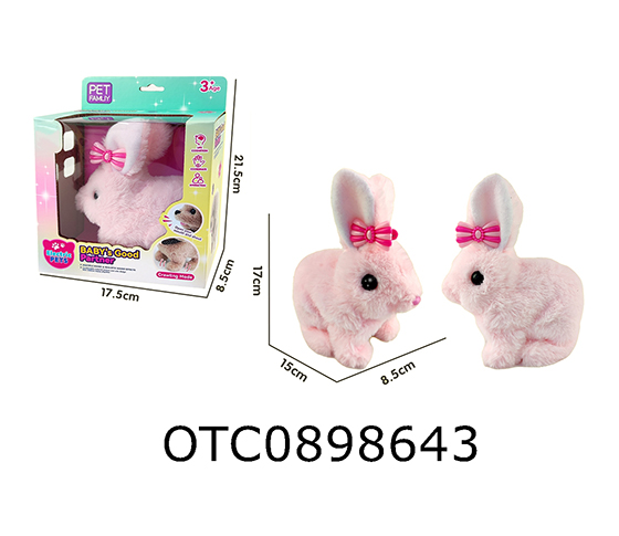 ELECTRIC RABBIT
