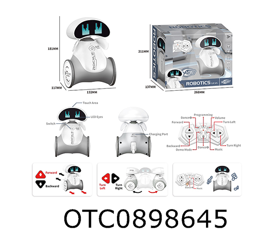R/C ROBOT