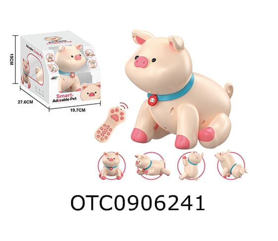 R/C PIG 