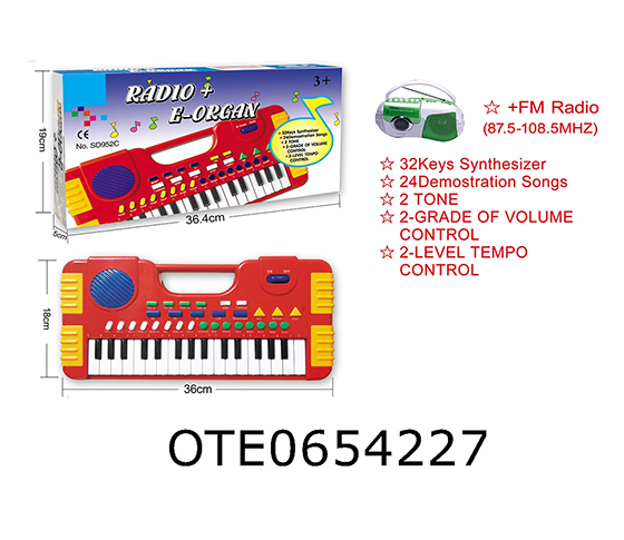 32 KEY ELECTRONIC ORGAN