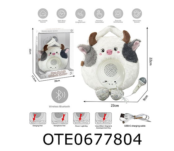 KARAOKE SET
