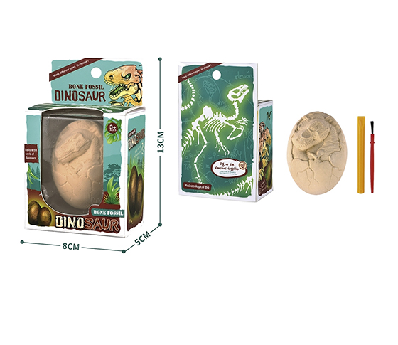 DINOSAUR FOSSILS