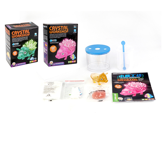 CRYSTAL SCIENCE WORKSHOP