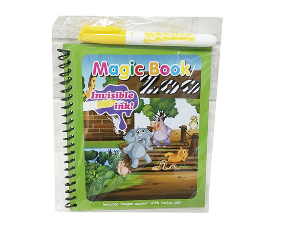 GRAFFITI BOOK