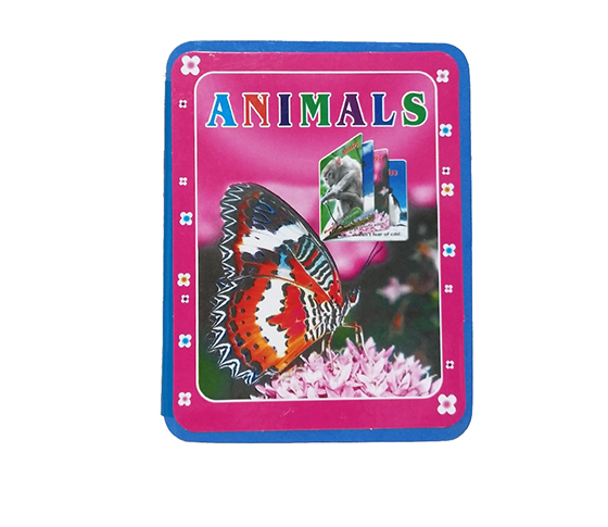 ENGLISH EVA RECOGNITION LITERACY BOOK