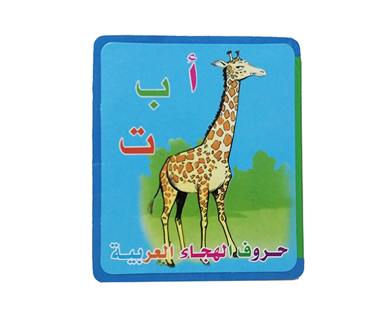 ARABIC EVA RECOGNITION LITERACY BOOK