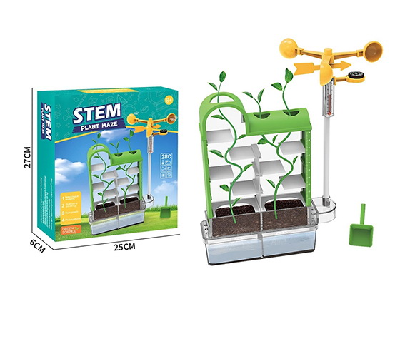 PLANT MAZE