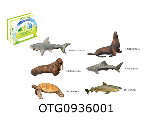 MARINE ANIMAL