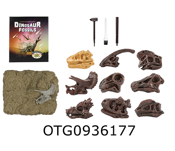 DINOSAUR FOSSILS