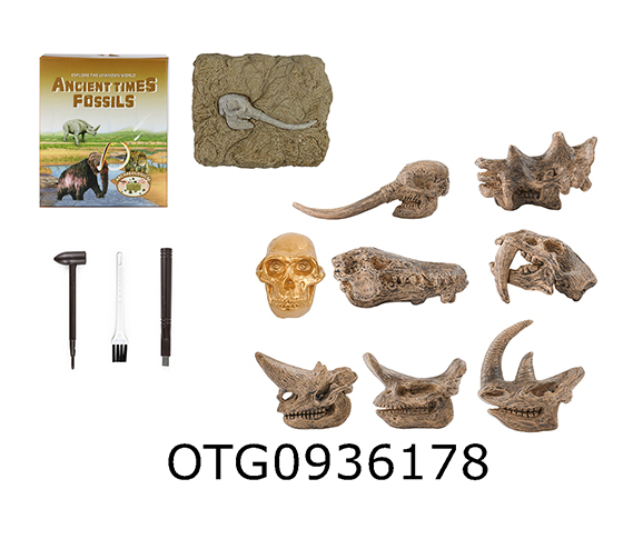 DINOSAUR FOSSILS