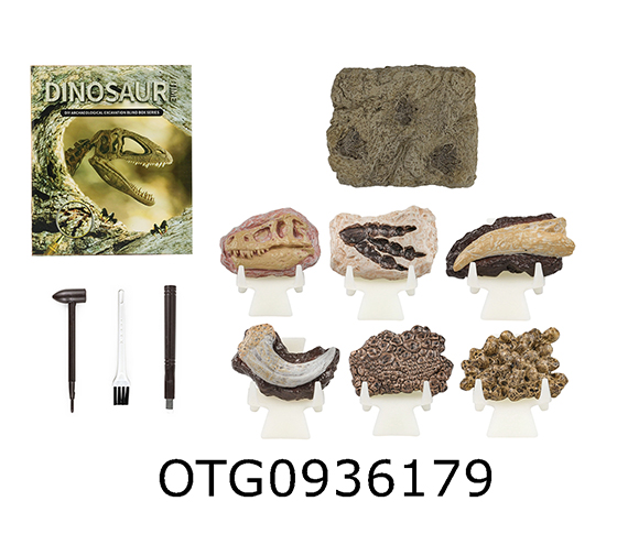 DINOSAUR FOSSILS