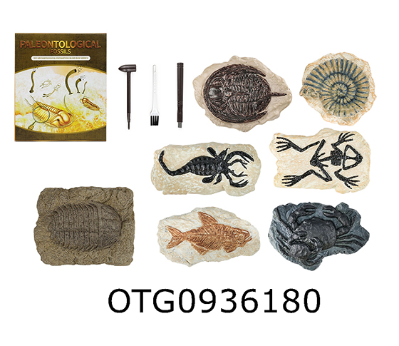 DINOSAUR FOSSILS